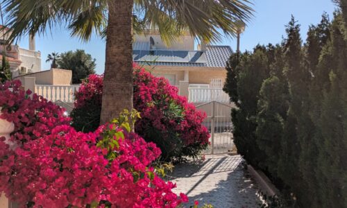 Claveles 10