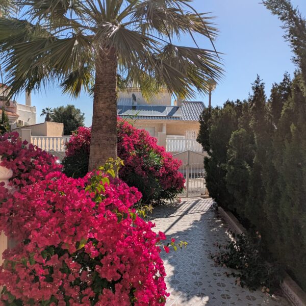 Claveles 10